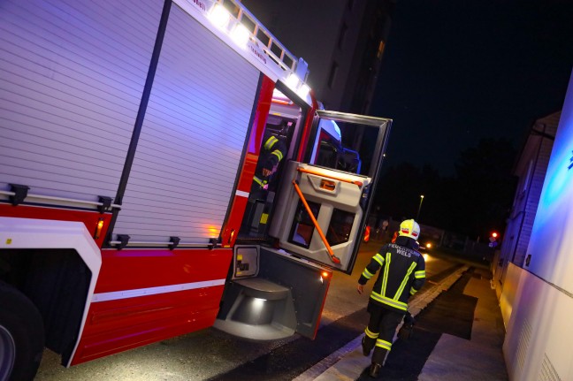 Brand eines Gartenkamins statt Kaminbrand in Wels-Innenstadt