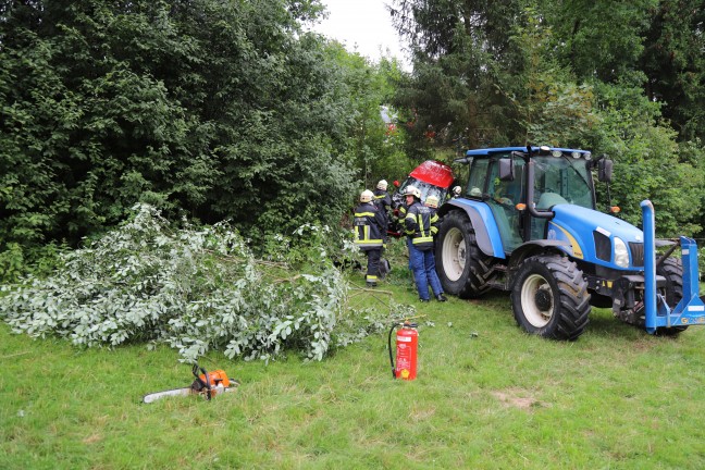 Auto nach Verkehrsunfall in Bad Zell in bewaldeter Böschung gelandet