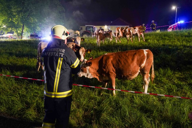 Elf Feuerwehren bei Großbrand eines Bauernhofes in Kirchberg bei Mattighofen im Einsatz