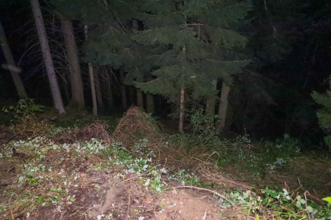 Traktorlenker (68) bei Absturz in steilem Waldstück in Scharnstein tödlich verunglückt