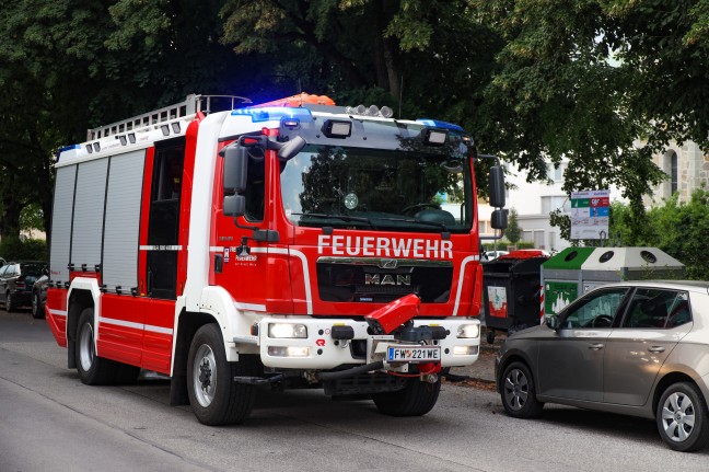 Neuerlicher Brand einer mobilen Toilettenkabine in einem Park in Wels-Neustadt