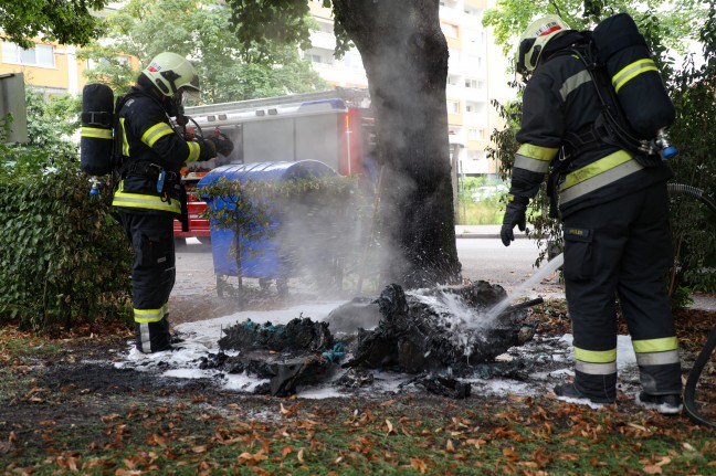 Neuerlicher Brand einer mobilen Toilettenkabine in einem Park in Wels-Neustadt