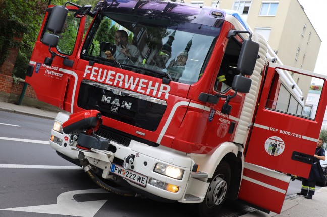 Verletzte Katze in Wels-Innenstadt durch Feuerwehr aus gekipptem Fenster befreit