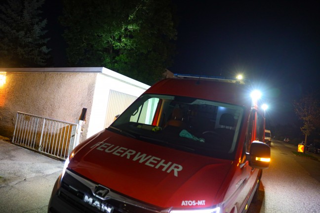 Katze am Baum: Feuerwehr bei Tierrettung in Wels-Vogelweide im Einsatz