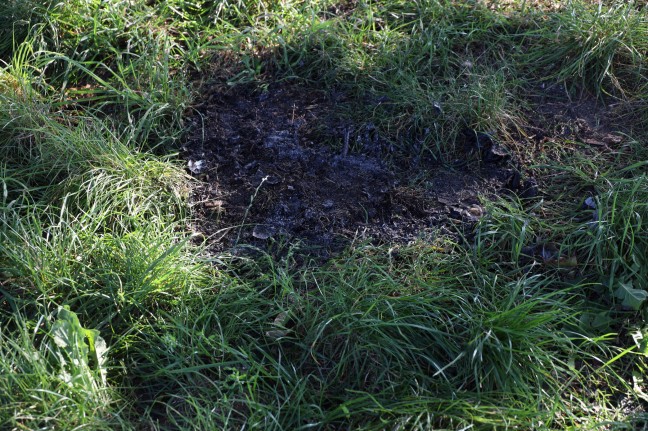 Feuerwehr und Polizei bei Kleinbrand entlang eines Fuweges in Wels-Vogelweide im Einsatz