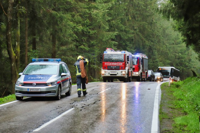 Lenkerin bei Verkehrsunfall in Reichenau im Mühlkreis in Kleinbus eingeklemmt