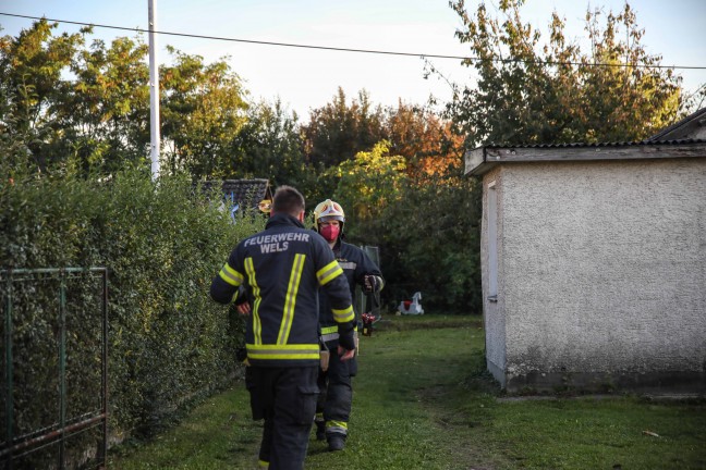 Doppelter Einsatz der Feuerwehr bei Wespennest im Wels-Puchberg
