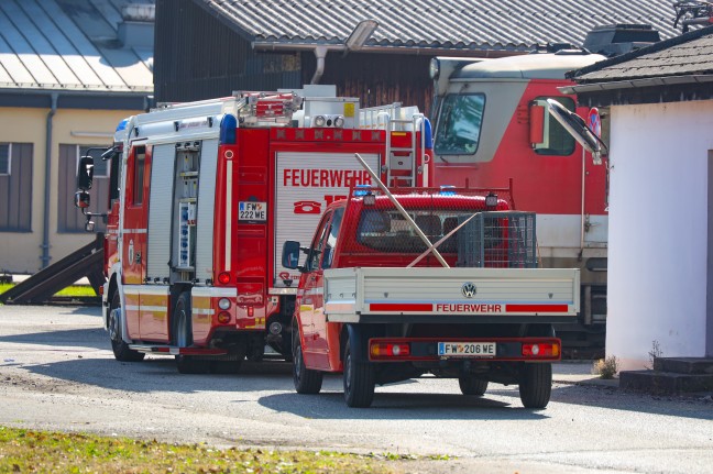 Durchnässtes Reh aus Regenwasserabsetzbecken bei Bahnbetriebsgelände in Wels-Neustadt gerettet