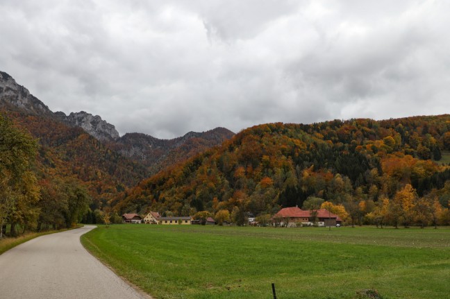 Pensionistin (78) nach mehrtägiger Suchaktion in Micheldorf in Oberösterreich tot aufgefunden