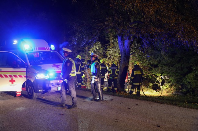 Auto bei Eberstalzell gegen Baum gekracht - Feuerwehr befreit eingeklemmten Lenker
