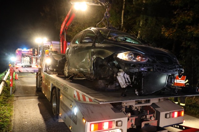 Auto bei Verkehrsunfall in Molln zwischen Bäumen und Sträuchern gelandet