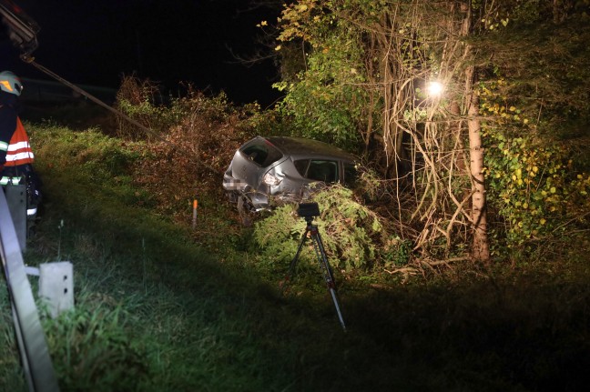 Auto bei Verkehrsunfall in Molln zwischen Bäumen und Sträuchern gelandet