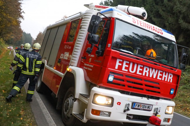 Umgestrzter Baum durch Feuerwehr aus Bschungsbereich der Pyhrnpass Strae in Steinhaus entfernt