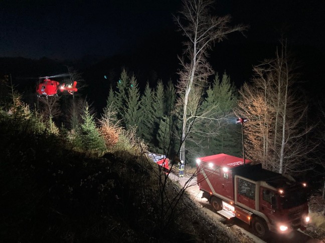 Personenrettung nach schwerem Forstunfall in Grnau im Almtal