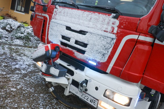 Rehbock in Wels-Schafwiesen durch Feuerwehr aus Swimmingpool gerettet