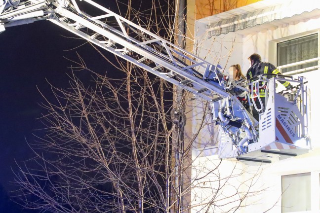 Katze "Stella" mit Hilfe der Feuerwehr-Drehleiter von Baum in Wels-Neustadt gerettet