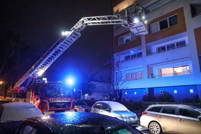 Katze "Stella" mit Hilfe der Feuerwehr-Drehleiter von Baum in Wels-Neustadt gerettet