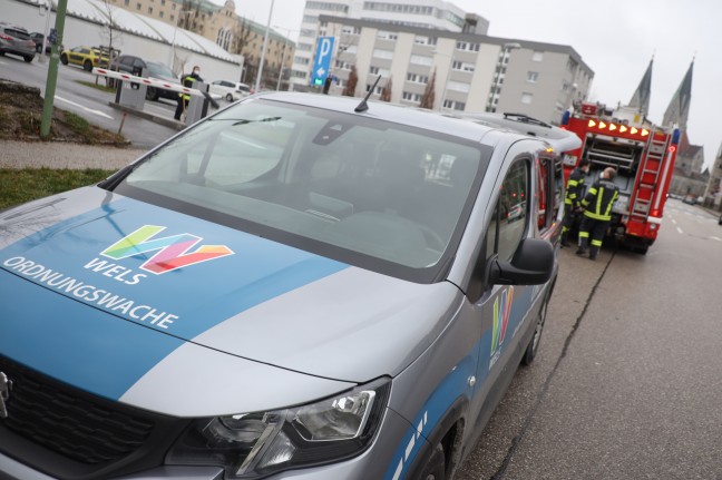 Einsatzkrfte in Wels-Neustadt beim Versuch zwei Nymphensittiche zu fangen im Einsatz