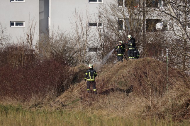 Flurbrand auf einem Erdwall in Wels-Neustadt