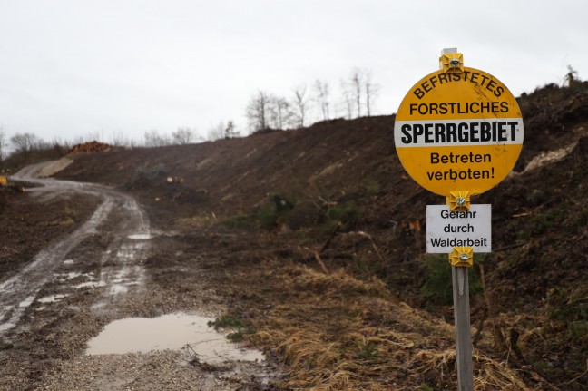 "Baum fällt": Aufregung um Abholzung von 18 Hektar Wald für weiteres Gewerbegebiet in Ohlsdorf