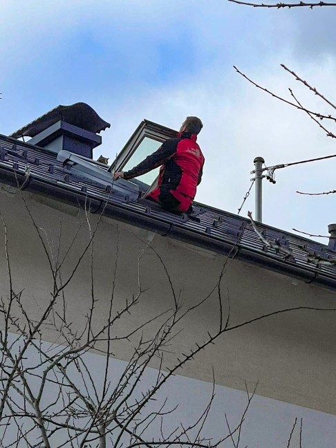 Katze vom rutschigen Blechdach eines Hauses in Pichl bei Wels gerettet