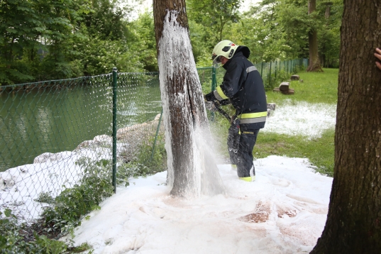 Brand eines hohlen Baumes beim Slacklinepark in der Noitzmühle