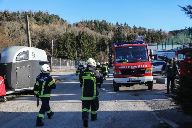 Pferd in Pichl bei Wels durch Feuerwehr aus Pool gerettet