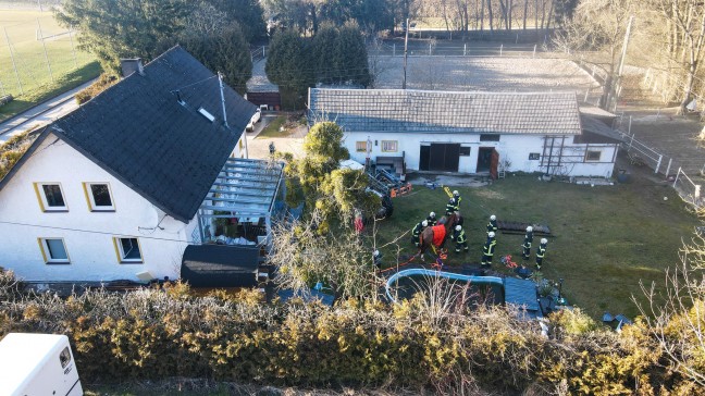 Pferd in Pichl bei Wels durch Feuerwehr aus Pool gerettet