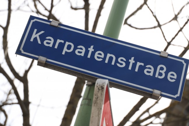 Feuerwehr bei Flurbrand in Wels-Neustadt im Einsatz