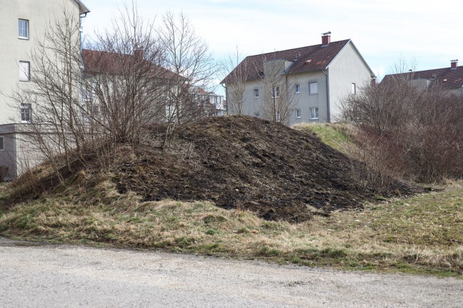 Feuerwehr bei Flurbrand in Wels-Neustadt im Einsatz