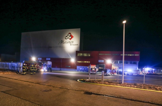 Neun Feuerwehren bei Brand in einer Produktionshalle in Altheim im Einsatz