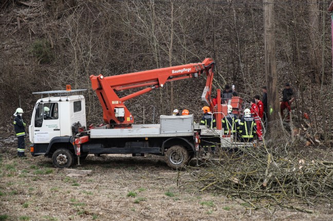 Verletzter Forstarbeiter in Thalheim bei Wels aus Arbeitskorb eines Hubsteigers gerettet