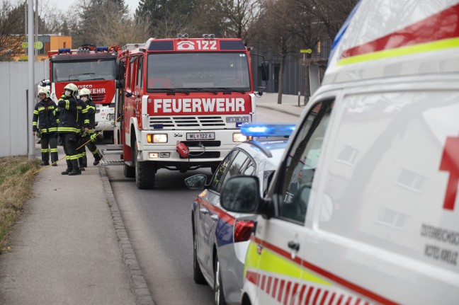 Verletzter Forstarbeiter in Thalheim bei Wels aus Arbeitskorb eines Hubsteigers gerettet