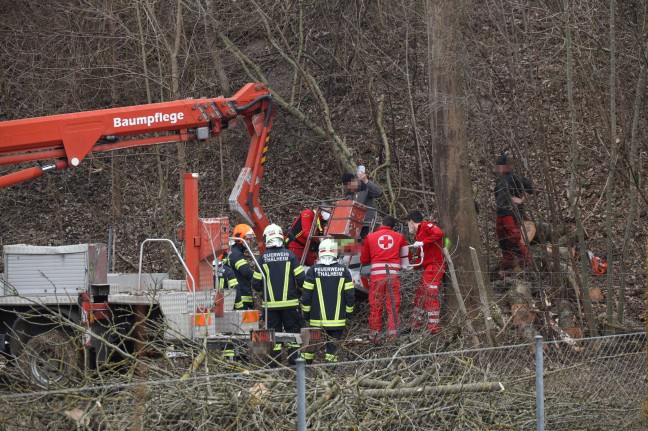 Verletzter Forstarbeiter in Thalheim bei Wels aus Arbeitskorb eines Hubsteigers gerettet