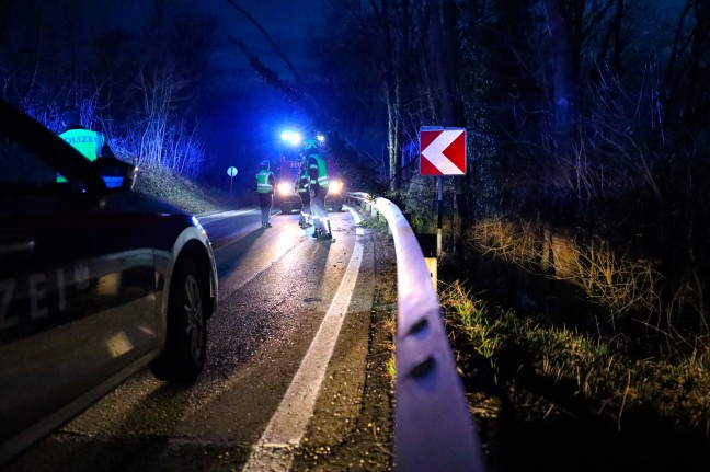 Umgestrzer Baum blockierte in Schleiheim halbseitig eine Strae