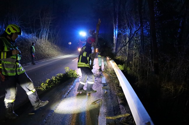 Umgestürzer Baum blockierte in Schleißheim halbseitig eine Straße