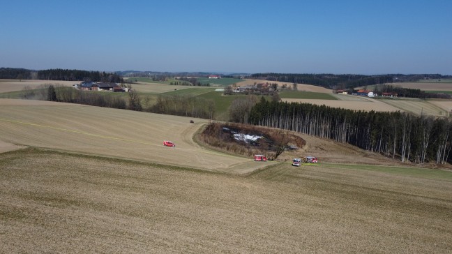 Brand eines Jungwaldes in Gunskirchen sorgt für längeren Einsatz von drei Feuerwehren