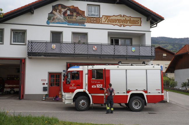 Feuerwehr bei Suchaktion nach zwei entlaufenen Kälbern in Inzersdorf im Kremstal im Einsatz