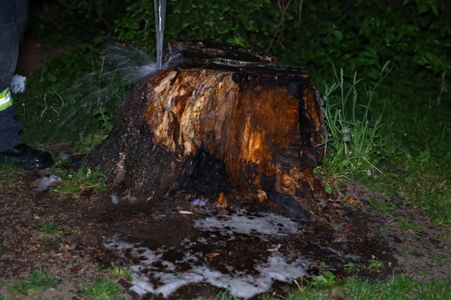 Brand eines Baumstumpfes in Wels-Vogelweide sorgt fr Einsatz der Feuerwehr