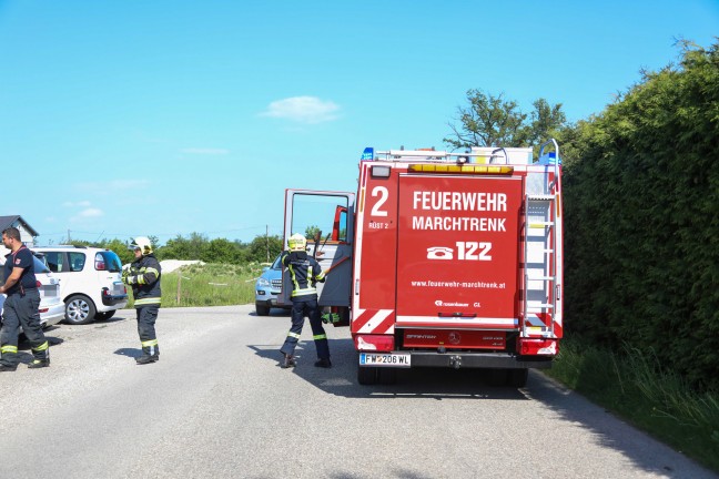 Einsatzkrfte zu Schlange unter Terrasse eines Hauses in Marchtrenk alarmiert