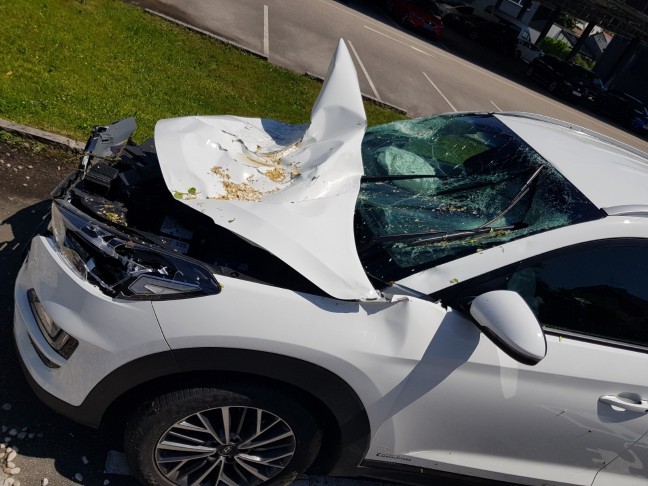 Lenkerin verletzt: Baum in Schiedlberg während Gewitter mit Sturmböen auf fahrendes Auto gestürzt