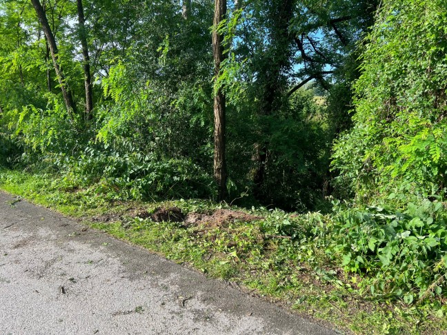 Verunfallter PKW im Gebsch nahe eines Badesees in Feldkirchen an der Donau entdeckt