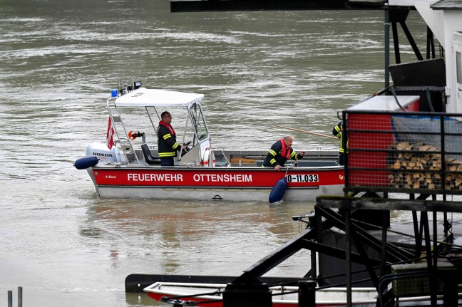 Bootseinsatz der Feuerwehr: Baumstamm blockierte Donaufähre in Ottensheim
