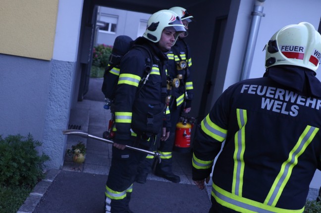 Meldung über stechenden Geruch in Mehrparteienwohnhaus in Wels-Neustadt führte zu Feuerwehreinsatz