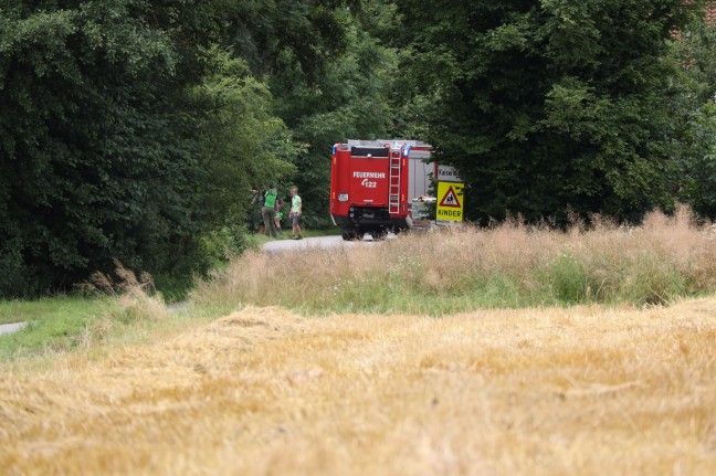 Schwein entlaufen: Tierrettungseinsatz der Feuerwehr in Pichl bei Wels