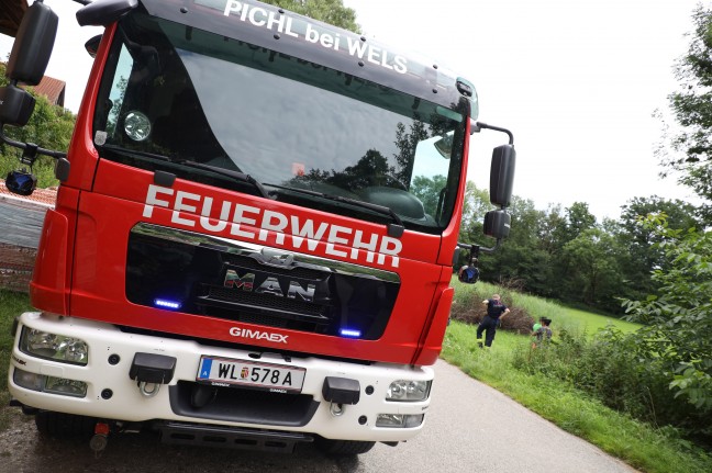 Schwein entlaufen: Tierrettungseinsatz der Feuerwehr in Pichl bei Wels