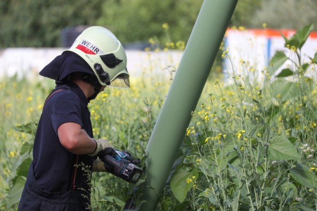 Straenlaterne in Schieflage: Feuerwehr entfernte in Wels-Schafwiesen beschdigten Lichtmast