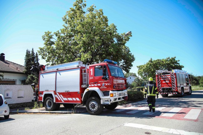 Feuerwehreinsatz in Marchtrenk: Baum mit mehreren Wipfeln lehnte sich an Hausfassade