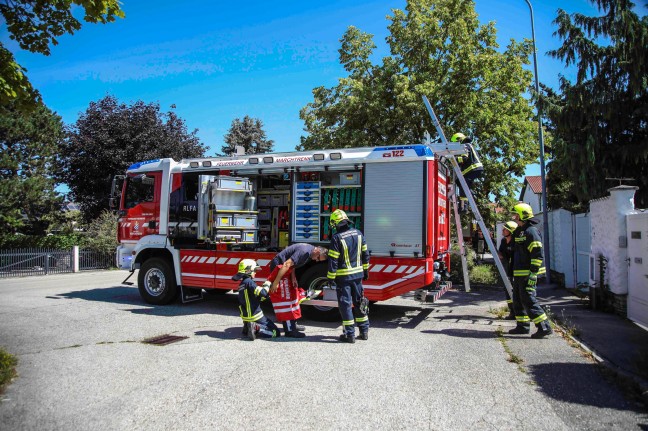 Feuerwehreinsatz in Marchtrenk: Baum mit mehreren Wipfeln lehnte sich an Hausfassade