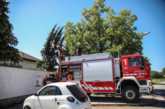 Feuerwehreinsatz in Marchtrenk: Baum mit mehreren Wipfeln lehnte sich an Hausfassade